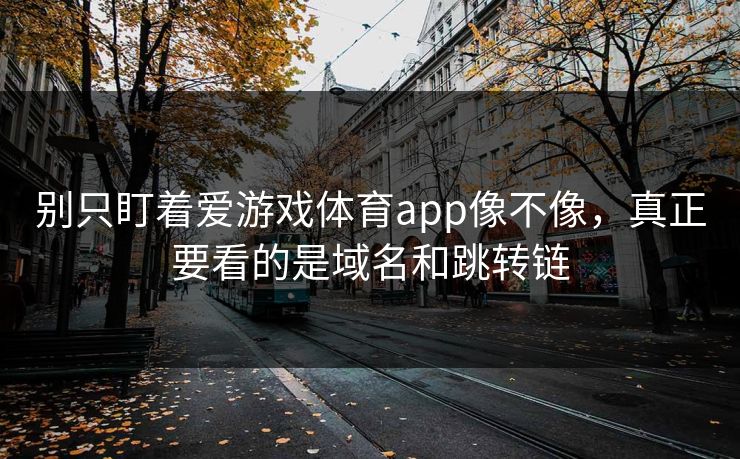 别只盯着爱游戏体育app像不像,真正要看的是域名和跳转链